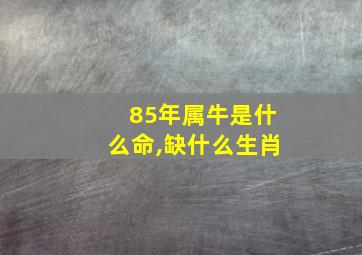 85年属牛是什么命,缺什么生肖