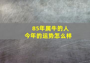 85年属牛的人今年的运势怎么样