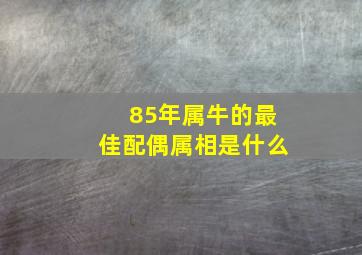 85年属牛的最佳配偶属相是什么