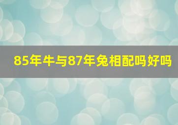 85年牛与87年兔相配吗好吗