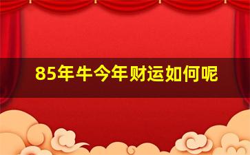 85年牛今年财运如何呢