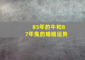 85年的牛和87年兔的婚姻运势