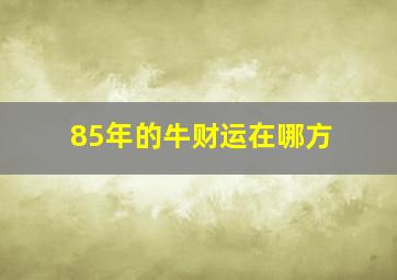 85年的牛财运在哪方