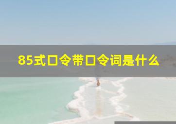 85式口令带口令词是什么