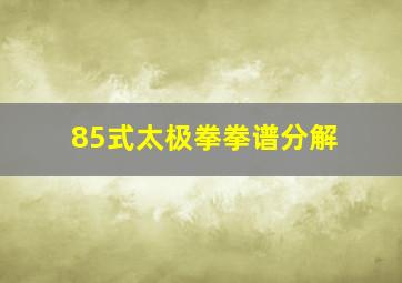 85式太极拳拳谱分解