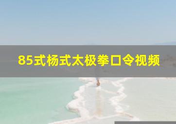 85式杨式太极拳口令视频