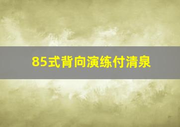 85式背向演练付清泉