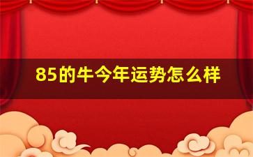 85的牛今年运势怎么样