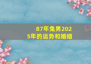 87年兔男2025年的运势和婚姻