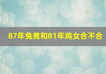 87年兔男和81年鸡女合不合