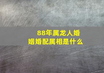 88年属龙人婚姻婚配属相是什么