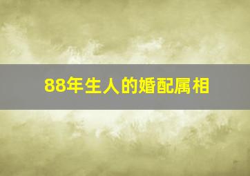 88年生人的婚配属相