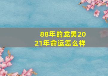 88年的龙男2021年命运怎么样