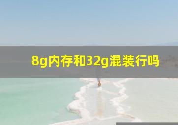 8g内存和32g混装行吗