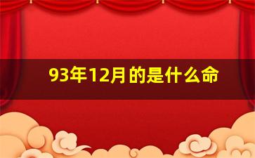 93年12月的是什么命