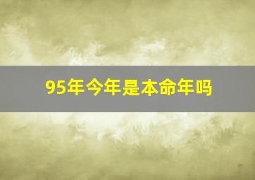 95年今年是本命年吗