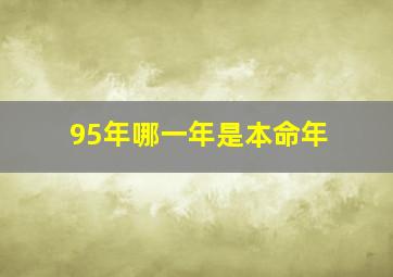 95年哪一年是本命年