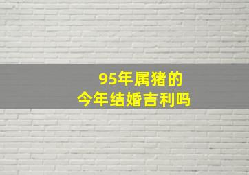 95年属猪的今年结婚吉利吗