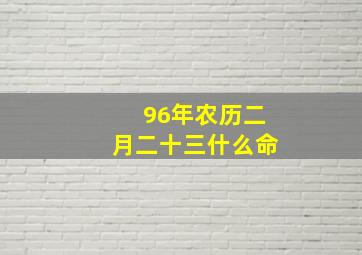 96年农历二月二十三什么命