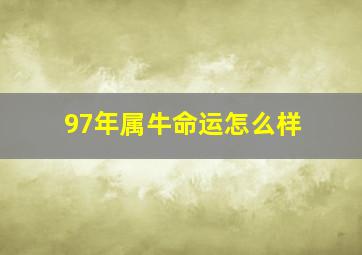 97年属牛命运怎么样