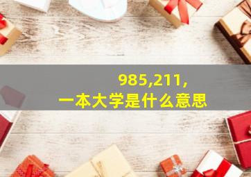 985,211,一本大学是什么意思