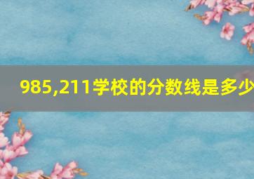 985,211学校的分数线是多少