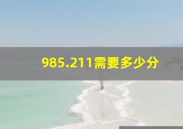 985.211需要多少分