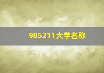 985211大学名称