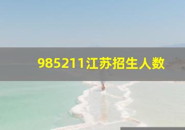 985211江苏招生人数