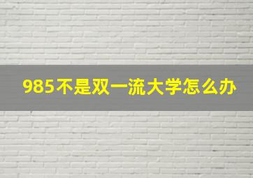 985不是双一流大学怎么办