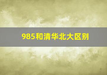 985和清华北大区别