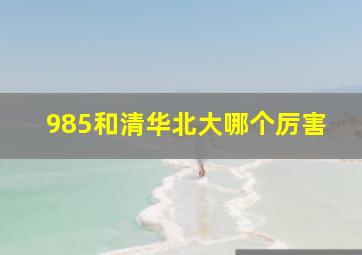 985和清华北大哪个厉害