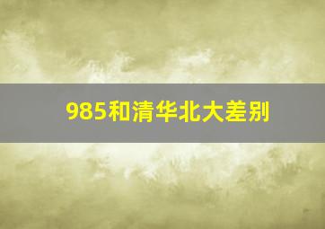 985和清华北大差别