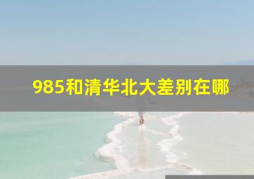 985和清华北大差别在哪