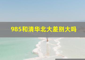 985和清华北大差别大吗