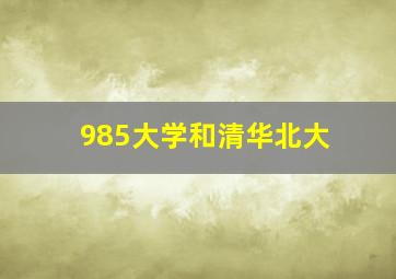 985大学和清华北大