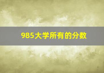 985大学所有的分数