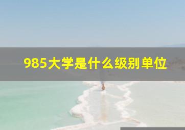 985大学是什么级别单位