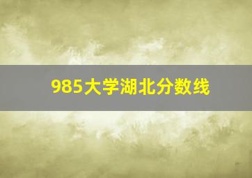 985大学湖北分数线