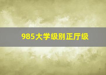 985大学级别正厅级