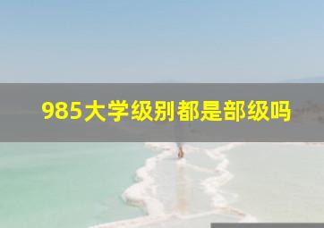 985大学级别都是部级吗