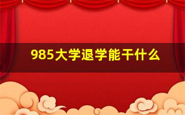 985大学退学能干什么