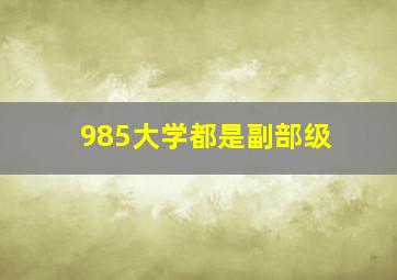 985大学都是副部级