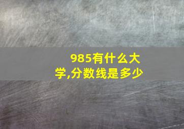 985有什么大学,分数线是多少