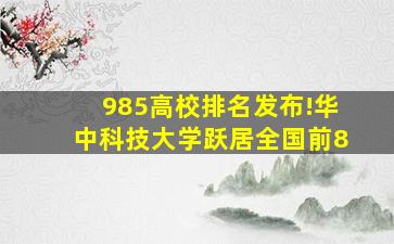 985高校排名发布!华中科技大学跃居全国前8