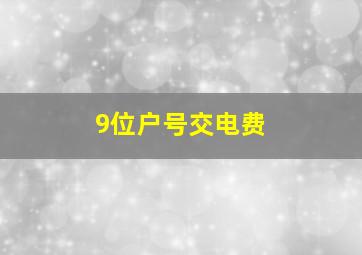 9位户号交电费