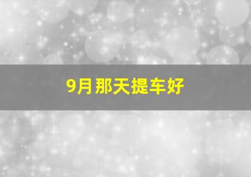 9月那天提车好