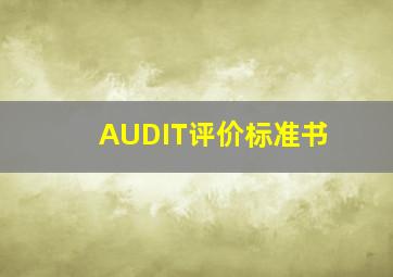 AUDIT评价标准书