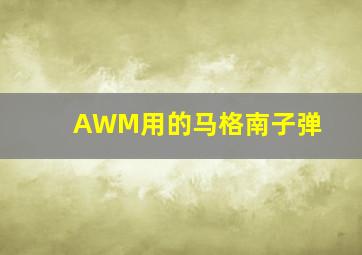 AWM用的马格南子弹