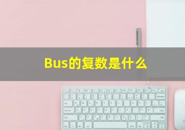 Bus的复数是什么